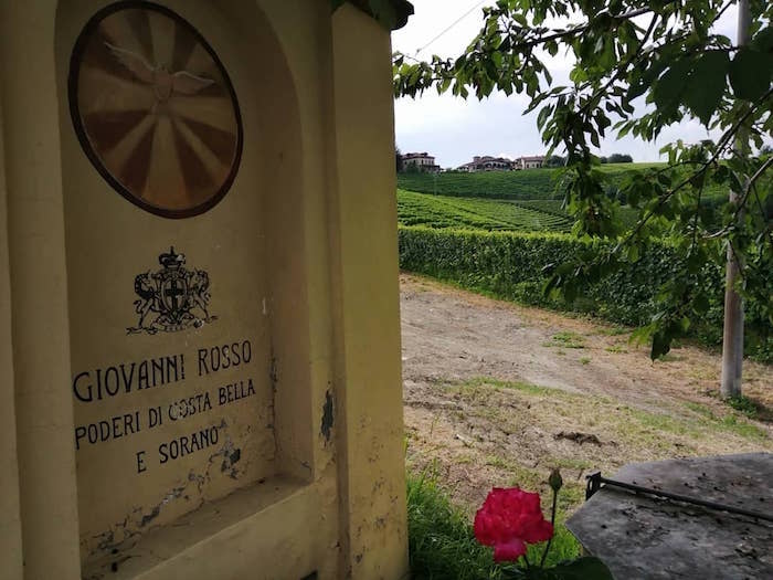 La Vigna della Mga Sorano a Serralunga d'Alba