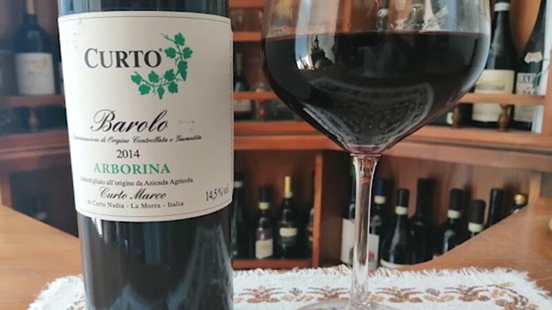 MARCO CURTO, IL BAROLO ARBORINA CHE INCANTA. Nei Vini l’Armonia tra Tradizione e Innovazione