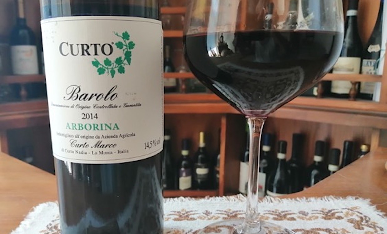 MARCO CURTO, IL BAROLO ARBORINA CHE INCANTA. Nei Vini l’Armonia tra Tradizione e Innovazione