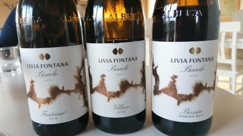 LIVIA FONTANA, AULENTI E POTENTI GRANDI CRU DI BAROLO. Villero e Bussia, i Top della Tenuta Storica Fontanin